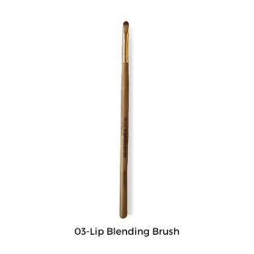 https://www.shecosmetics.pk/wp-content/uploads/2023/09/03-lipblendingbrush_800x.webp