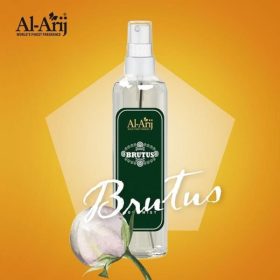 https://www.shecosmetics.pk/wp-content/uploads/2023/10/Al-Arij-Body-Mist-Brutus-125ml-min-min-600x600-1.jpg